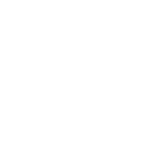 BASI